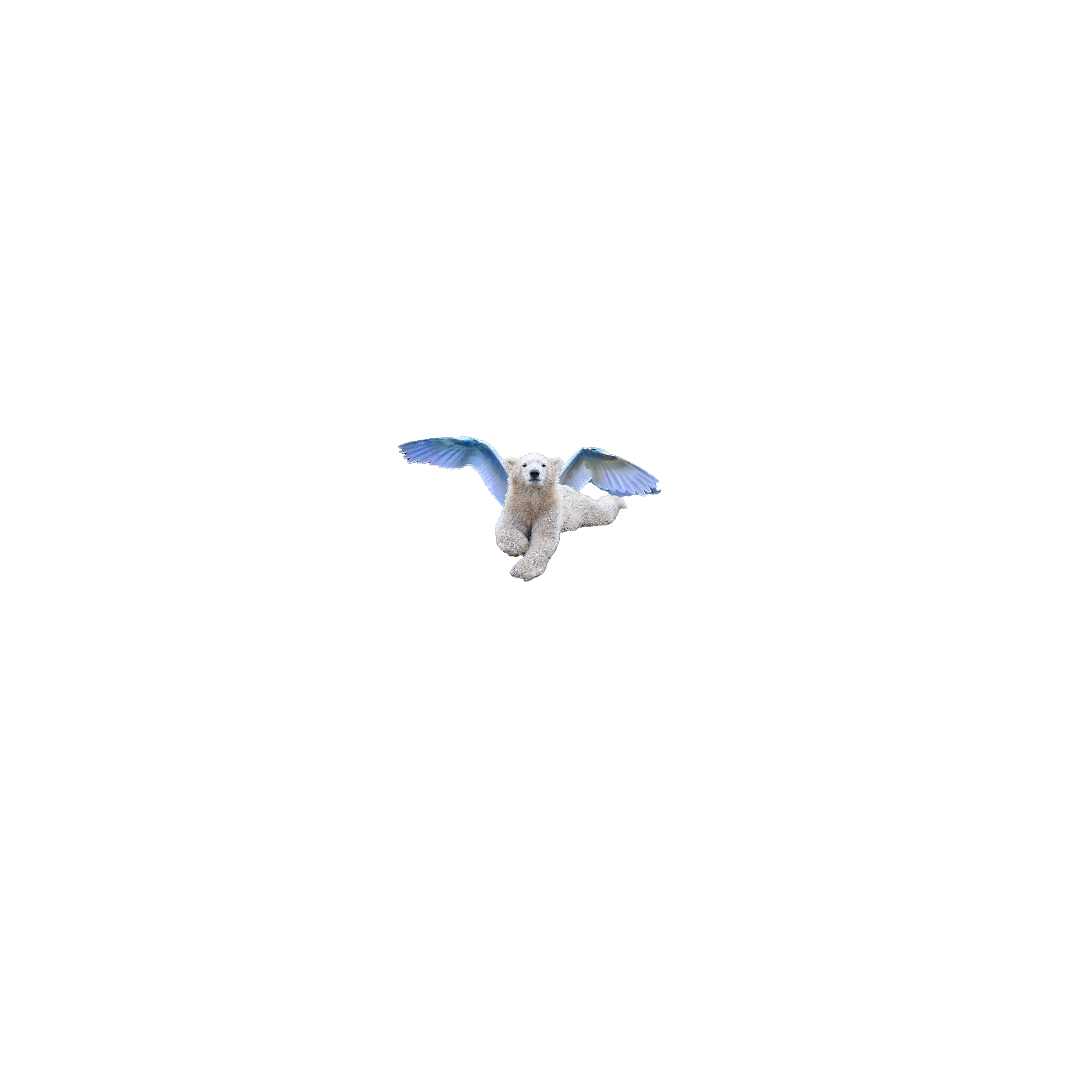 flyingpolarbear